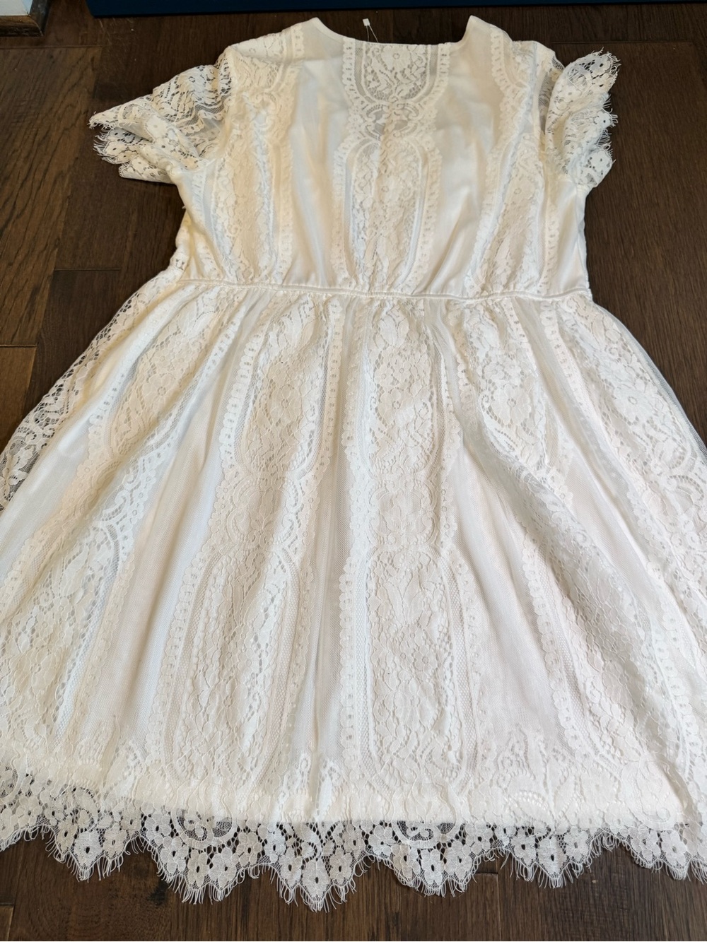 Ivory Lace V-Neck Short Formal Dress - Picture 6 of 6